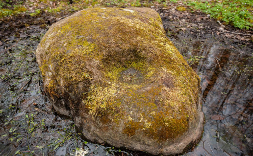 22_Šilalės alkavietė (2).jpg